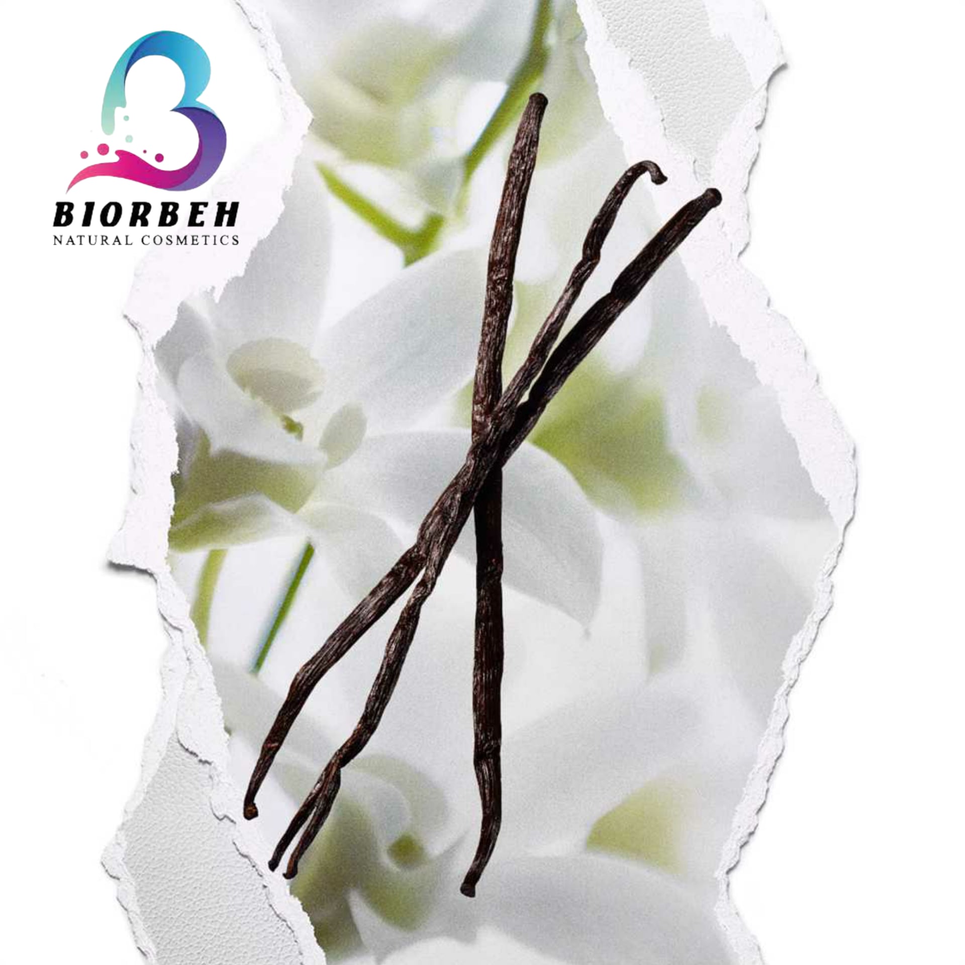 رایحه گل عطر زنانه، رایحه گل عطر all or nothing